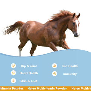 Oem מותג מותאם אישית הזנה תוספת עצם עבור סוסים הירך & משותף אבקת ויטמין ומינרלים אבקת - Product Image 6