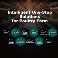 Système de cages à poules pondeuses entièrement automatique galvanisé de type H à 4 niveaux pour l'élevage commercial de volailles et la production d'œufs