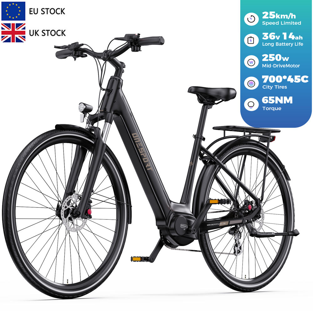 36V Bicicleta Electrica Efficient Electric Bikes
