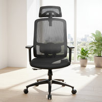 Chaise de bureau exécutive ergonomique réglable en maille respirante avec soutien lombaire en tissu, confortable pour les longues heures, idéale pour les conférences et les écoles