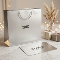 Sacs en papier argentés personnalisés avec votre logo, diffuseurs de parfum en papier argenté, parfums pour hommes, t-shirts, sacs cadeaux pour événements