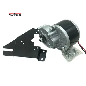 MY1016Z3 350W 24V 36V Low Voltage Electric Scooter Gear Reduced DC Motor for Electric bike Conversion Kit Engine