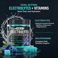LUVVITA Gummies Multivitaminés Électrolytes Naturels Personnalisés en Gros Nutrition Sportive Sans Sucre Soutien Immunitaire Énergie
