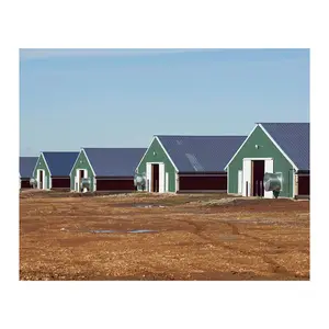 Factory price design modern chicken farm long life design poultry farm shed for sale