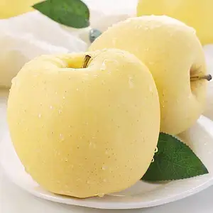 CHINA SUPPLIER Golden Delicious APPLE FOR SALE