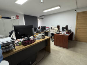 Juguete Interactivo con Movimiento y Luz LED de 15 cm para Mascotas - Product Image 6