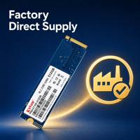 SSD M.2 NVMe Private Label 256GB PCIe Gen3 x4 Internal Solid State Drive OEM ODM Desain Kemasan Logo Kustom