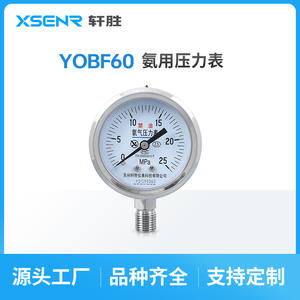 Manomètre d'oxygène sans huile Suzhou Xiansheng YO60BF 25MPa en acier inoxydable, connexion filetée analogique - Product Image 4