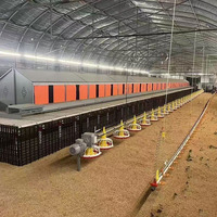 Nouvelle conception de ferme avicole avec système d'élevage automatique en métal et plastique pour poulets, canards, oies et dindes