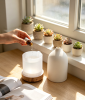 Diffuseur d'aromathérapie pour la décoration de la maison, diffuseur d'huiles essentielles en céramique USB, humidificateur d'air ultrasonique 200 ml