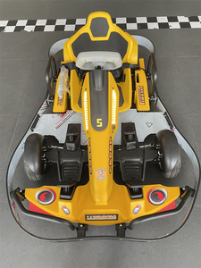 Vente en Gros <span class=keywords><strong>Go</strong></span>-Kart Électrique <span class=keywords><strong>Pro</strong></span> de Course Extérieure pour Enfants et Adultes - Product Image 5