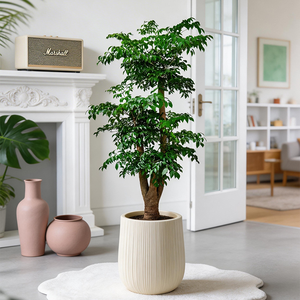 Fleid Contemporary HDPE Plastic Floor Vase-Lightweight Wide Mouth Unbreakable Fade Resistant Durable Eco-Friendly & Reusable - Product Image 6