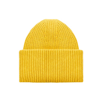 Bonnet en acrylique tricoté, couleur unie, chaud, coupe-vent, hiver, extérieur, unisexe, logo personnalisé, vente en gros