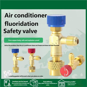 Mới của nhãn hiệu Brass điều hòa không khí fluoridation van an toàn nổ bằng chứng bền ren kết nối - Product Image 4