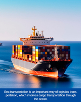 Services Professionnels de Logistique DHL de Porte à Porte DDP International, Dropshipping, Commissionnaire de Transport et Agent Maritime