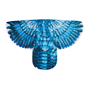 Capa de Alas de Pájaro Degradado para Disfraz de Cosplay, Alas de Mariposa de Poliéster para Halloween - Product Image 4