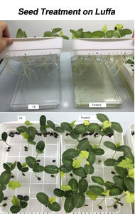 En iyi fiyat gama poliglutamik asit (PGA) -bitki büyüme uyarıcısı ve gübre katkısı - Product Image 4