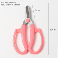 Sécateur de jardin Kit de ciseaux pour enlever les épines de roses Sécateur d'arbres Outils à main ruban adhésif double face ruban adhésif