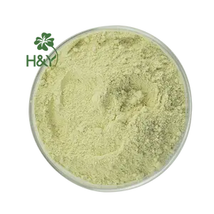 Wholesale Rutin Extract Japonica Flower Extract 95% Rutin Powder
