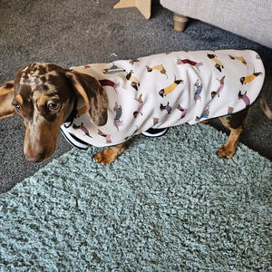 Abrigo para Perros Qiqu Personalizado de Diseñador Estilo Clásico, Chaqueta <span class=keywords><strong>Impermeable</strong></span> de Poliéster para Mascota con Estampado de <span class=keywords><strong>Perro</strong></span> <span class=keywords><strong>Salchicha</strong></span> - Product Image 2