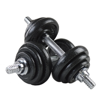 Haltères de fitness en fonte de 50kg, ensemble d'haltères en métal vernis à l'étuvage avec boîte, vente en gros