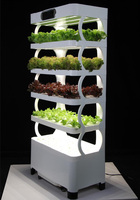 Système hydroponique agricole système de culture hydroponique intelligent microgreen pour usage domestique
