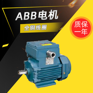 มอเตอร์ไฟฟ้ากระแสสลับ Abb รุ่น M2Ja ซีรีส์ 22 กิโลวัตต์ 30 กิโลวัตต์ แบบสามเฟส อะซิงโครนัส ขดลวดทองแดงเต็มตัว สำหรับอุปกรณ์เครื่องจักรกล - Product Image 3