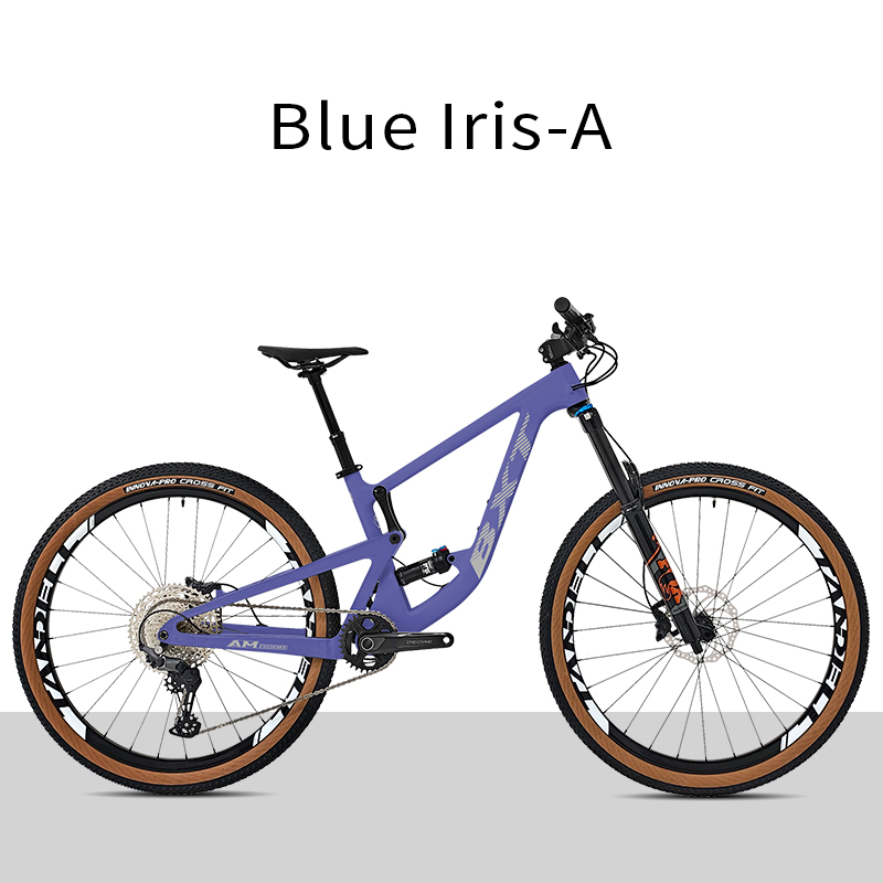Iris bleu-A