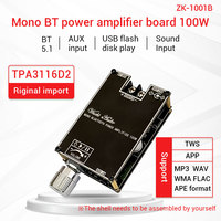 WUZHI AUDIO 1001B Module amplificateur haut-parleur mono 100W Sound Music TWS TPA3116D2