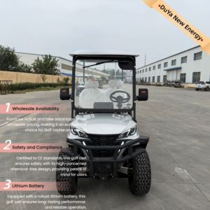 नवीनतम फ्रंट फेस फैशन डिजाइन 72v 2-सीट क्लब गोल्फ कार आरामदायक 2-व्यक्ति लिथियम बैटरी इलेक्ट्रिक मिनी कार थोक - Product Image 6
