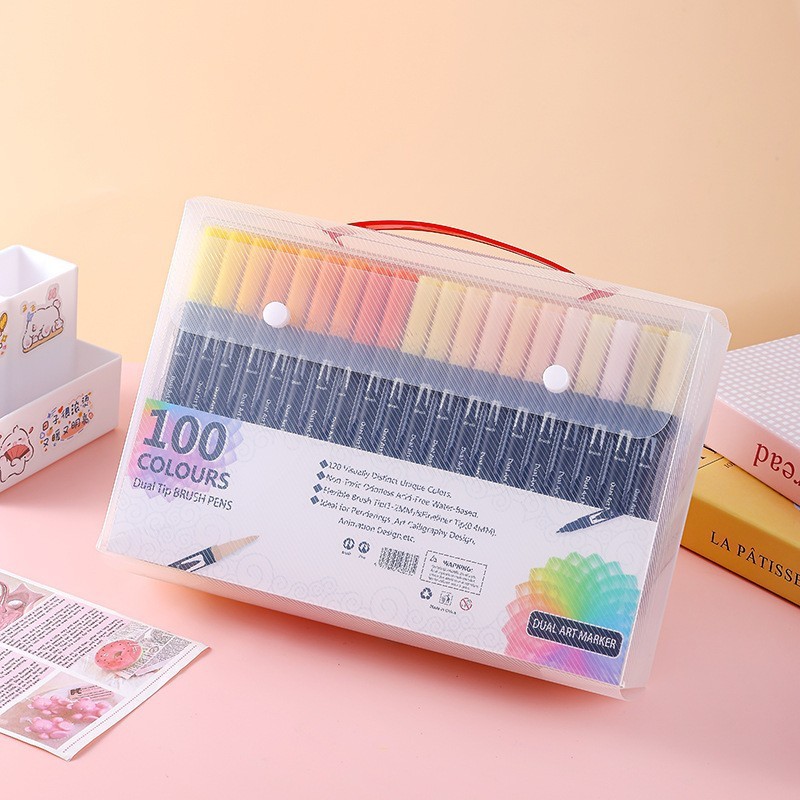 Caja de plástico de 100 colores.