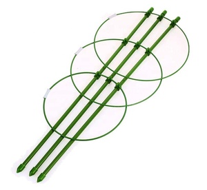 Cages de soutien pour plantes de 18 pouces avec 3 anneaux réglables, lot de 3 (30 pouces) - Product Image 2