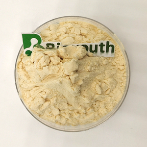 Produttore all'ingrosso di bromelina in polvere di bromelina enzima papaina enzima in polvere - Product Image 1