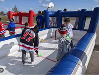 Acheter pas cher MINI Hockey sur gazon Bâtons Arena avec ventilateur Air Hockey Rink à vendre