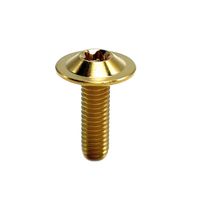 Sekrup Metrik Paduan Titanium TC4 Gr5 M3-M24*10/15/20/25/30/35mm Kepala Bulat Tipis Sekrup Heksagonal untuk Rumah Cakram Rem