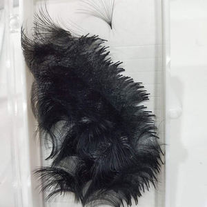 Ventilatori di Volume Premade sciolti fatti a mano 10D 0.03 0.05 0.07 ventilatori sciolti 3D 5D 6D 8D 10D 12D 300 <span class=keywords><strong>500</strong></span> 1000 Mega Promade fan sciolti - Product Image 4