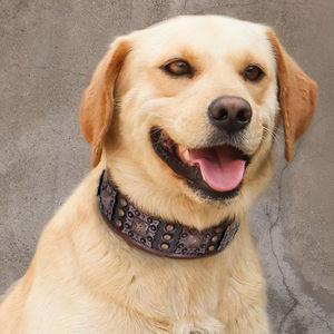 Mofesipi Hond Leer Anti Bite Klinknagel Kraag Grote Hond Halsband Metalen Gesp Verstelbaar Voor Honden Vintage Koeienhuid Materiaal - Product Image 2