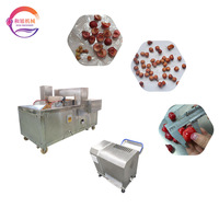 Industriële & tafelmodel kersenontpitter, fruitontpitter voor kersen, longan & wilde vruchten.