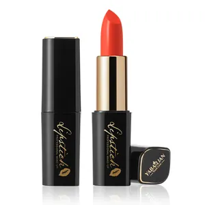 No Logo own brand durable waterproof 6-color magnetic matte oem solid lipstick cosmetics no cruel lipstick