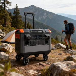 Generador Portátil de Funcionamiento Silencioso de 3000W BIGINVERTER para Acampar en el Jardín, Carpas y Uso en la Comedor - Product Image 3