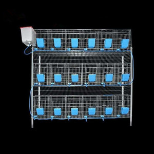 Jaulas Automáticas para Conejos Usgowin, Jaulas de Cría Comerciales con Nido Adjunto, Tubo Metálico Galvanizado en Caliente, 12 Jaulas, 20-25 Años de Duración - Product Image 2