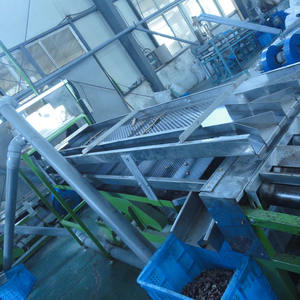 เครื่องจักรสายการผลิตเม็ดมะม่วงหิมพานต์อัตโนมัติ ยี่ห้อ Gashili พร้อม PLC และมอเตอร์เป็นส่วนประกอบหลัก รับประกัน 1 ปี - Product Image 2