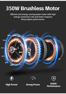 Scooter Eléctrico de 350W - Batería de Plomo-Ácido de 48V 20Ah, Neumático de 14 Pulgadas, Freno de Disco, Marco de Acero al Carbono, Carga Máxima de 150 kg - Product Image 2