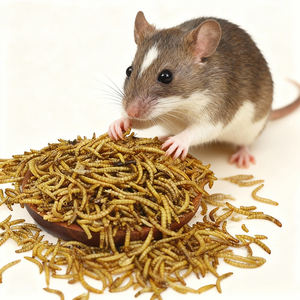 Minhocas de Farinha Liofilizadas com Alto Teor de Proteína para Aves e Peixes, Sem Grãos - Product Image 6