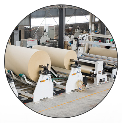 Guangxi Mashan Shengsheng Paper Co., Ltd. logo