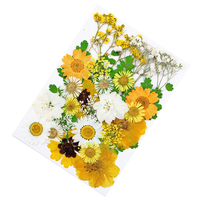 30-35 pièces/paquet de fleurs séchées pressées pour cadre photo en résine, packs mixtes de plantes naturelles, fleurs pressées mélangées