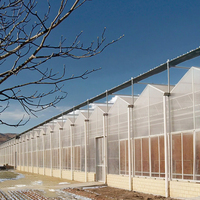 Serre NSR NSR pour jardin domestique, grande taille, cadre en acier galvanisé à chaud naturel, couverture en polycarbonate, adaptée aux climats tropicaux, tailles personnalisables