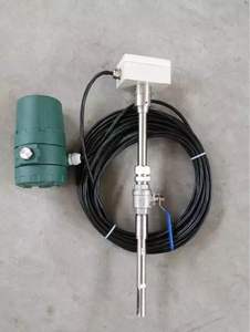 リモート熱式ガス質量流量計 分離型 圧縮空気用 10mケーブル付 - Product Image 2