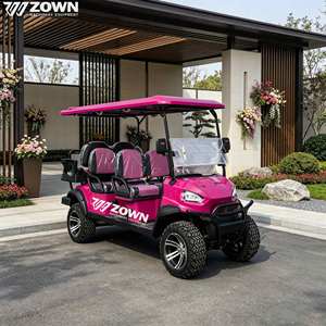 Carrito de Golf Eléctrico con Carga Solar, 6 Plazas, Batería de Litio de Largo Alcance, para Parques, Escuelas, Campus, Turismo - Product Image 1