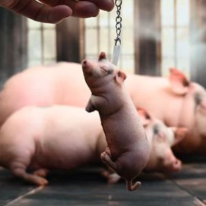 หมอนตุ๊กตาหมูเหมือนจริง ขนาด 15 40 60 80 ซม. ของเล่นสัตว์จำลอง แมว สุนัข ตุ๊กตานุ่มนิ่ม สำหรับเด็ก ของขวัญงานปาร์ตี้ ใช้ได้ทั้งชายหญิง ไส้ใยโพลีเอสเตอร์ - Product Image 5